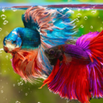 peixe betta temperatura da água