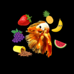 Alimentos para o peixe betta