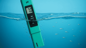 peixe betta ph e temperatura